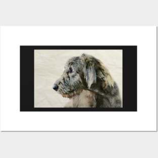 Wolfhound Pup #4 Posters and Art